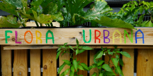 FlorA Urbana Logo