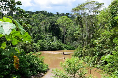 Zum Artikel "Neues DFG Forschungsprojekt im Amazonasregenwald"