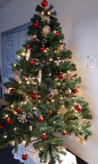 Zum Artikel "Die Geographie macht Weihnachtspause – 22.12.22-8.01.2023"