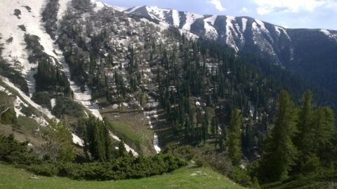 Zum Artikel "Institutskolloquium PG: Himalayan fir reveals moist phase during Little Ice Age in the Kashmir region of the western Himalayas. – Mi. 15.11.2023"