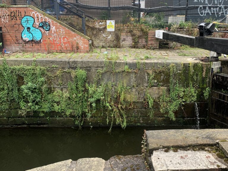 MicroFlows: Socio-microbial relations and urban water metabolism in the bacterial city