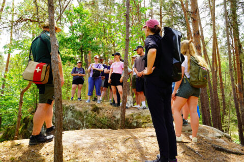 Zum Artikel "Excursion ‘Rewilding Tennenlohe’"