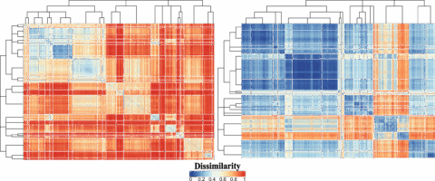 Zum Artikel "Forschungskolloquium PG: Ecophylogenetic Classification of Forest Communities in Georgia.  – Mi. 21.01.2026"