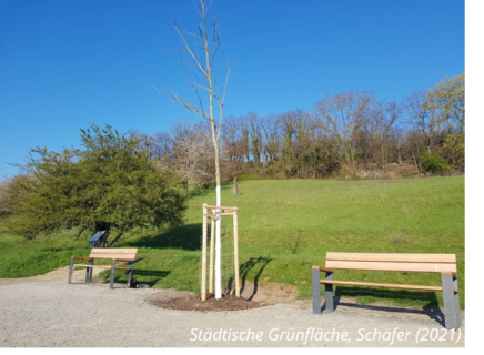 Zum Artikel "FGG-Vortrag: Klimaschutz und -anpassung im kommunalen Kontext: Befunde aus kleinen und mittelgroßen Gemeinden Mitteldeutschlands – 4.05.2026"